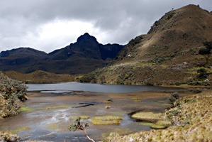 ecuador-las-cajas-04