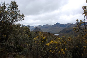ecuador-las-cajas-05