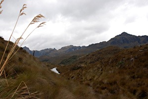 ecuador-las-cajas-06