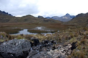ecuador-las-cajas-07