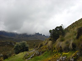ecuador-las-cajas-09
