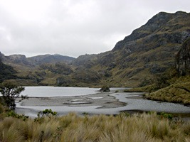 ecuador-las-cajas-12