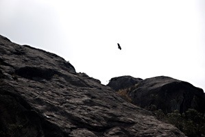 ecuador-las-cajas-22