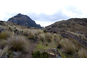 ecuador-las-cajas-23
