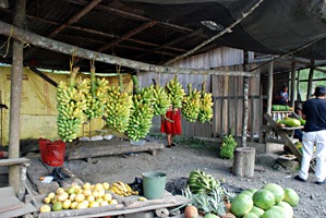 ecuador-naar-kust-05