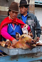 ecuador-treinreis-duivelsneus-08