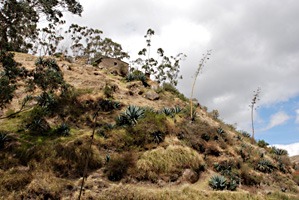 ecuador-treinreis-duivelsneus-11