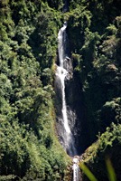 ecuador-vulkanen-jungle-04