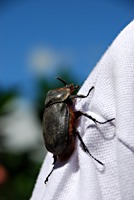 ecuador-vulkanen-jungle-09