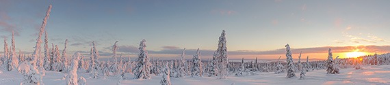 Winterwonderland, Finland vakantie