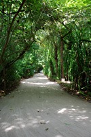 soneva-fushi-fietspad