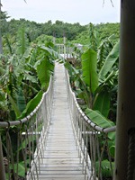 soneva-fushi-kookles-hangbrug