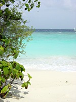soneva-fushi-strand-02