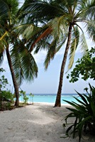 soneva-fushi-strand-04