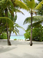 soneva-fushi-strand-05