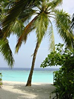 soneva-fushi-strand-06