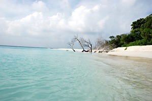 soneva-fushi-turtlebeach-01
