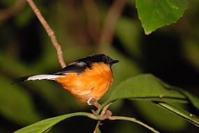 bilit-lodge-nightwalk-01