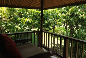 borneo-rainforest-lodge-deluxeroom-08