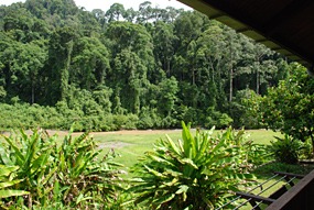 borneo-rainforest-lodge-deluxeroom-09