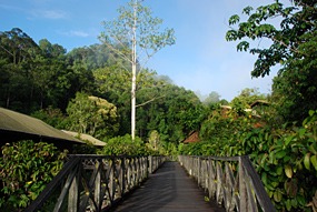 borneo-rainforest-lodge-deluxeroom-10