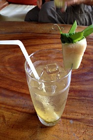 borneo-rainforest-lodge-welkomstdrankje