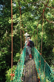 danum-valley-canopy-walk-06