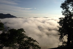 danum-valley-ochtendmist-14