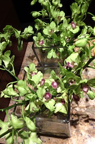 gaya-island-resort-01