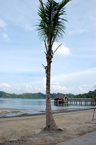gaya-island-resort-12