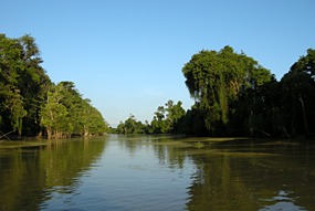 kinabatang-rivier-01