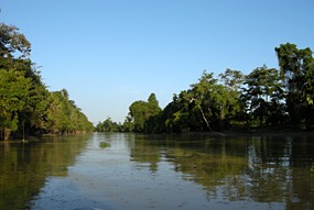 kinabatang-rivier-02