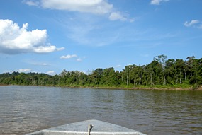 kinabatang-rivier-03