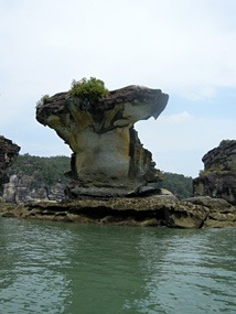 maleisie-bako-kust-rotsen-09