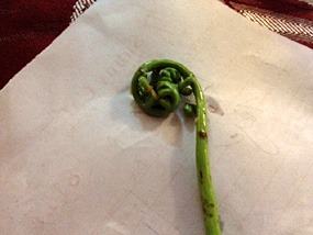 maleisie-kuching-restaurant-topspot-jungle-fern