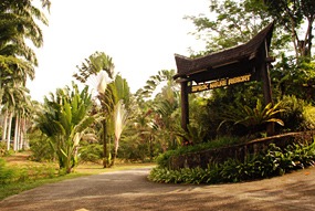 sepilok-nature-resort-02