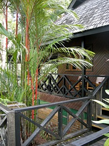 sepilok-nature-resort-04