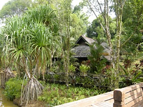 sepilok-nature-resort-11