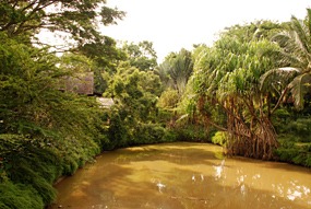 sepilok-nature-resort-12