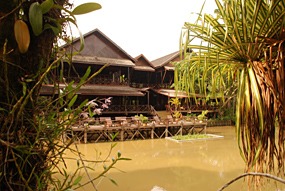 sepilok-nature-resort-13