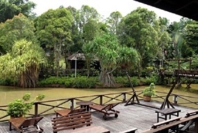 sepilok-nature-resort-14