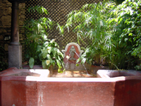 antigua-cafe-condesa