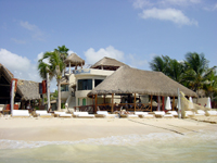 playa-del-carmen-blue-parrot-1