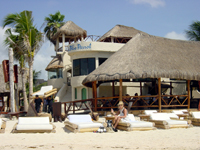 playa-del-carmen-blue-parrot-2