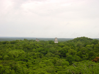 tikal-uitzicht
