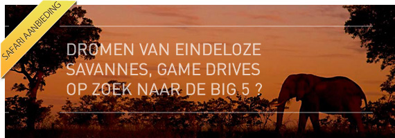 Safari aanbieding Safari aanbieding