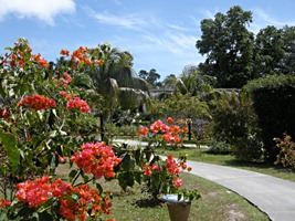 la-digue-island-lodge-1