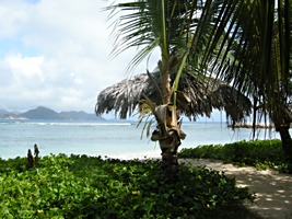 la-digue-island-lodge-21