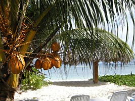 la-digue-island-lodge-24