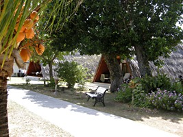 la-digue-island-lodge-3